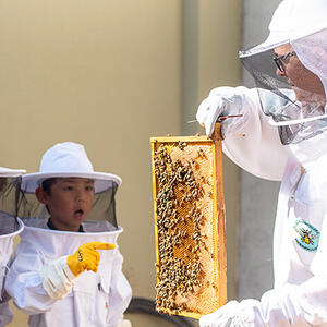 In the News: Bee hives thrive in the ASD Bee Garden