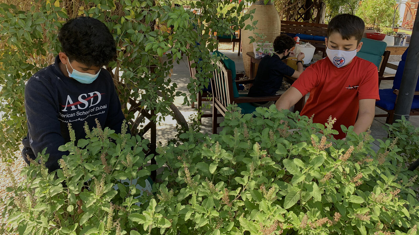 MS Course Catalog SY 202223 American School of Dubai